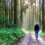 Schwarzwald