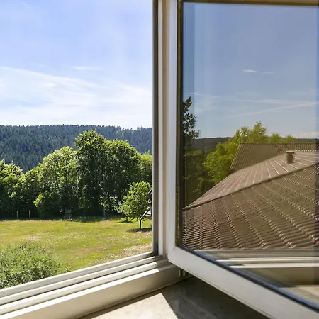 Schwarzwald 3*