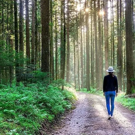 Schwarzwald