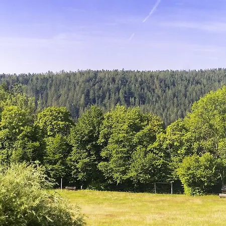 Hotel Schwarzwald 3*