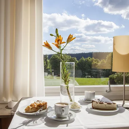 Schwarzwald Freudenstadt